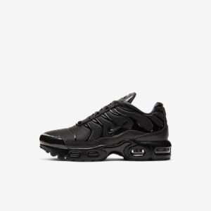 Nike air max plus black